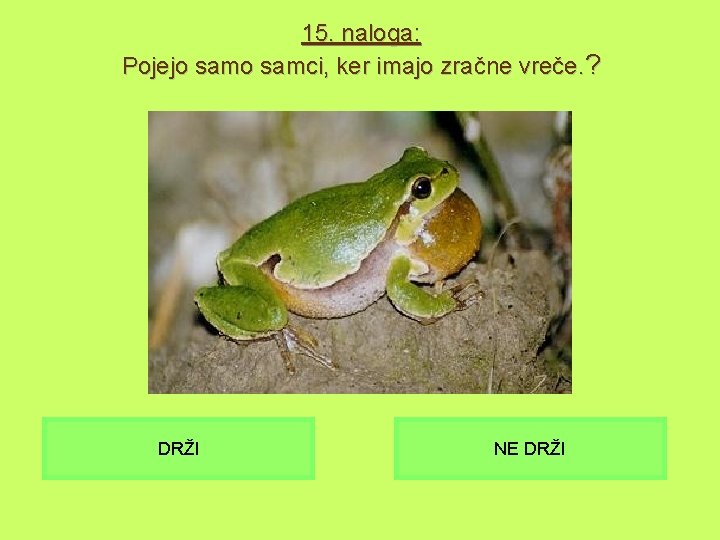 15. naloga: Pojejo samci, ker imajo zračne vreče. ? DRŽI NE DRŽI 