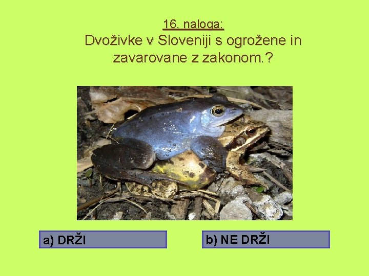 16. naloga: Dvoživke v Sloveniji s ogrožene in zavarovane z zakonom. ? a) DRŽI