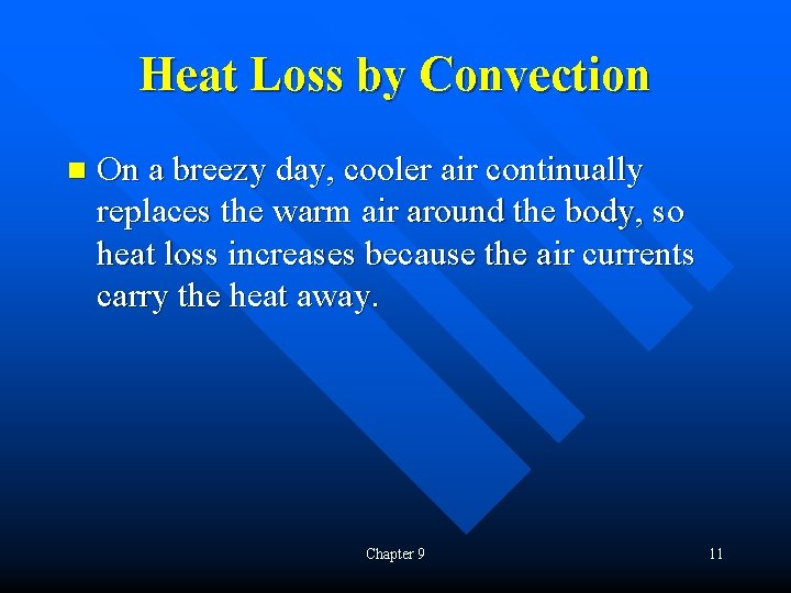 Heat Loss by Convection n On a breezy day, cooler air continually replaces the