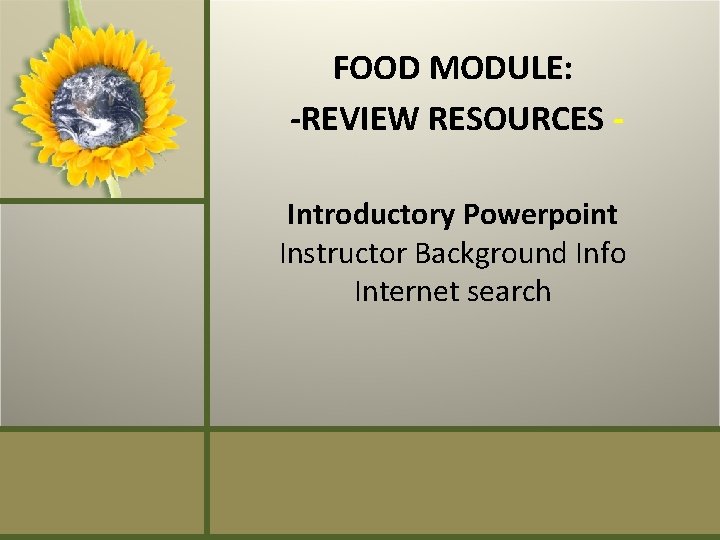 FOOD MODULE: -REVIEW RESOURCES Introductory Powerpoint Instructor Background Info Internet search 