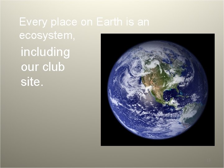 Every place on Earth is an ecosystem, including our club site. 13 