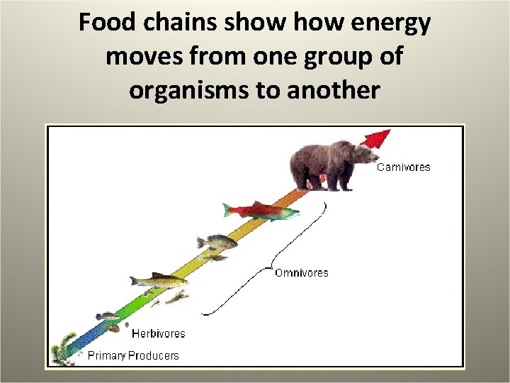 Food chains show energy moves from one group of organisms to another 