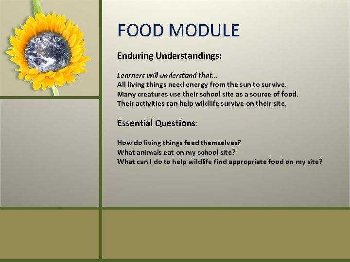 FOOD MODULE Enduring Understandings: Learners will understand that… All living things need energy from