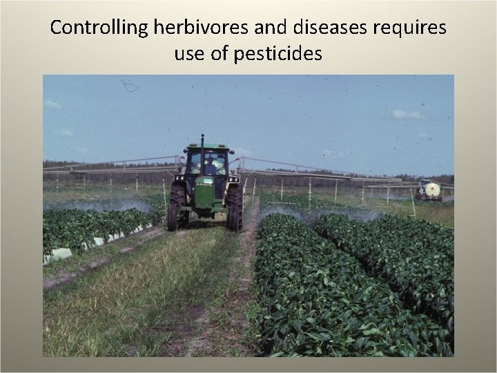 Controlling herbivores and diseases requires use of pesticides 