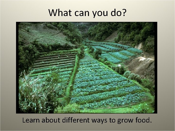 What can you do? Learn about different ways to grow food. 