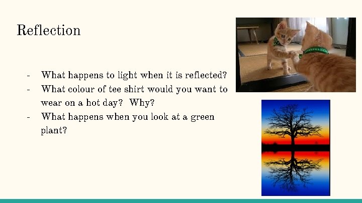Reflection - What happens to light when it is reflected? What colour of tee
