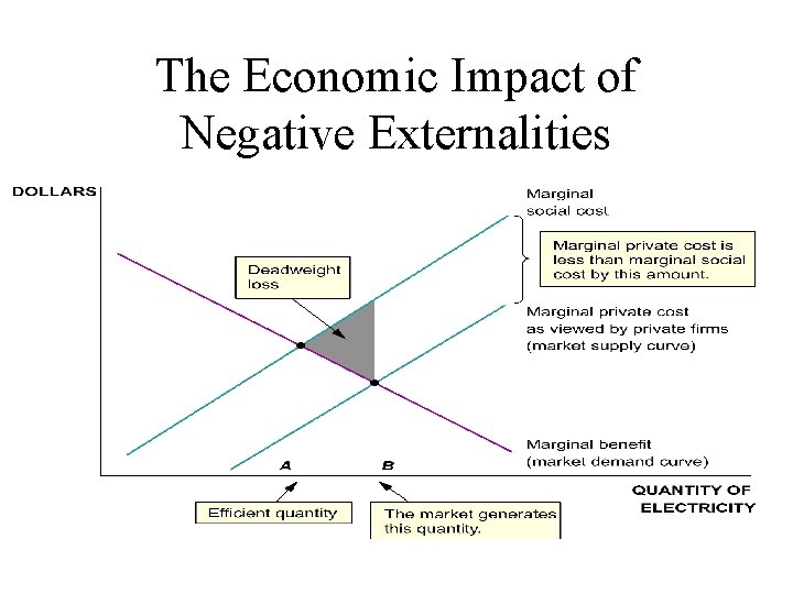 The Economic Impact of Negative Externalities 