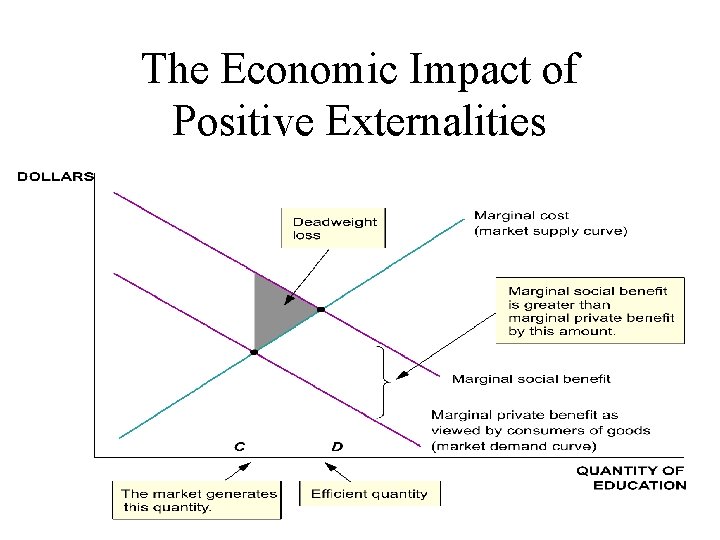 The Economic Impact of Positive Externalities 