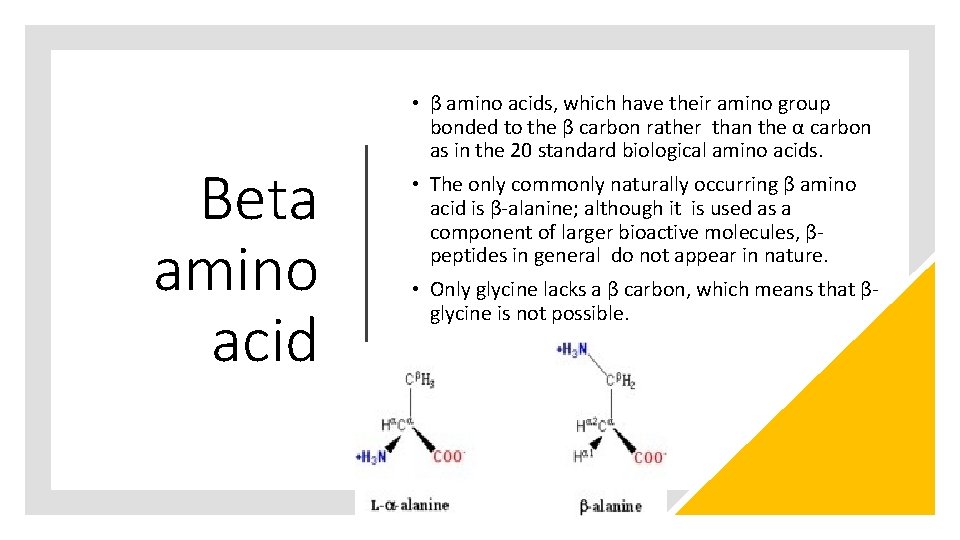 Beta amino acid • β amino acids, which have their amino group bonded to