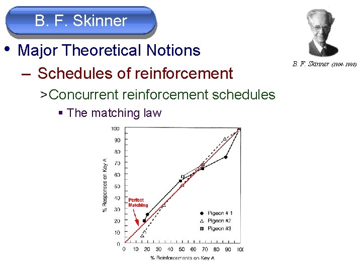 B. F. Skinner • Major Theoretical Notions – Schedules of reinforcement > Concurrent reinforcement