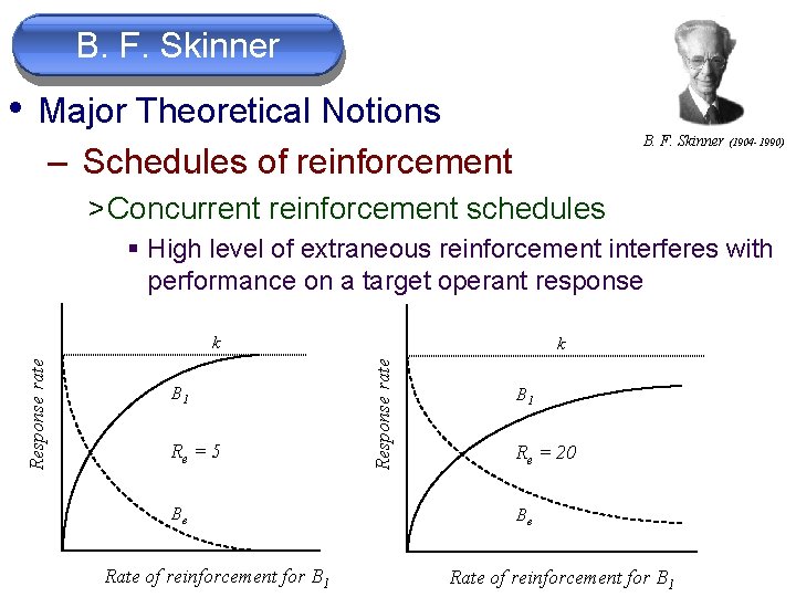 B. F. Skinner • Major Theoretical Notions B. F. Skinner (1904 -1990) – Schedules