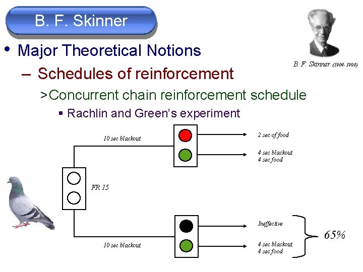 B. F. Skinner • Major Theoretical Notions B. F. Skinner (1904 -1990) – Schedules