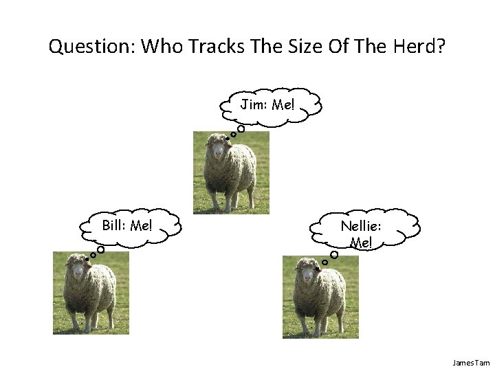 Question: Who Tracks The Size Of The Herd? Jim: Me! Bill: Me! Nellie: Me! Question: Who Tracks The Size Of The Herd? Jim: Me! Bill: Me! Nellie: Me!