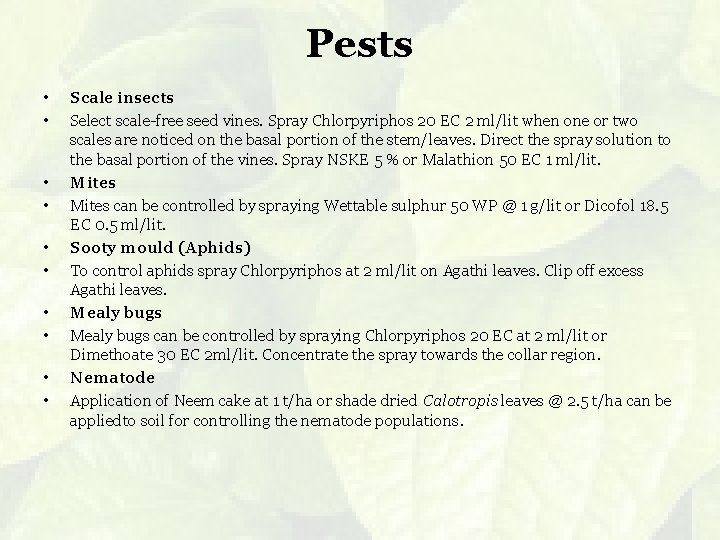 Pests • • • Scale insects Select scale-free seed vines. Spray Chlorpyriphos 20 EC