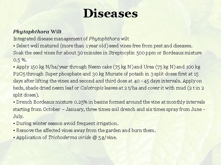 Diseases Phytophthora Wilt Integrated disease management of Phytophthora wilt • Select well matured (more