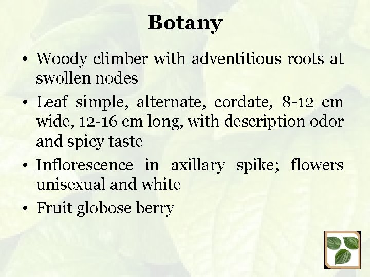 Botany • Woody climber with adventitious roots at swollen nodes • Leaf simple, alternate,