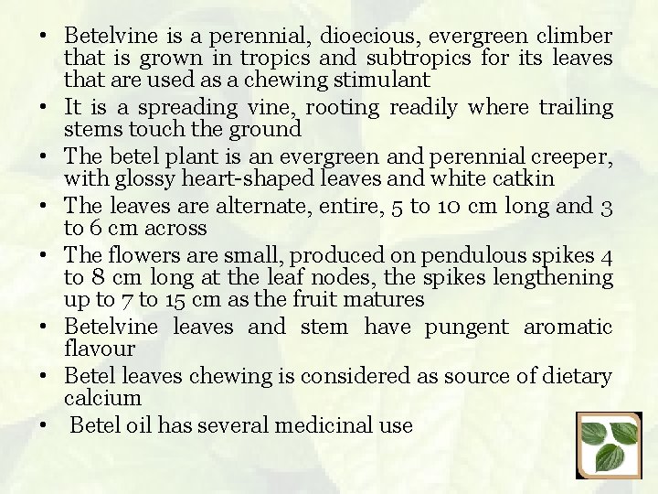  • Betelvine is a perennial, dioecious, evergreen climber that is grown in tropics