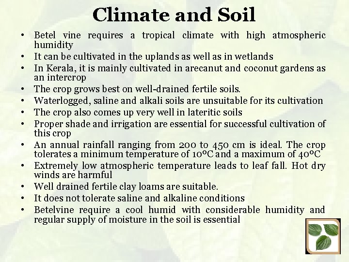 Climate and Soil • Betel vine requires a tropical climate with high atmospheric humidity