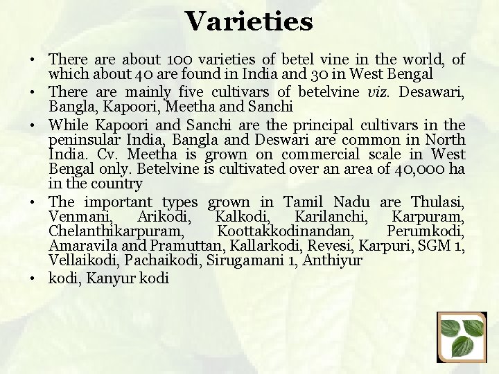 Varieties • There about 100 varieties of betel vine in the world, of which