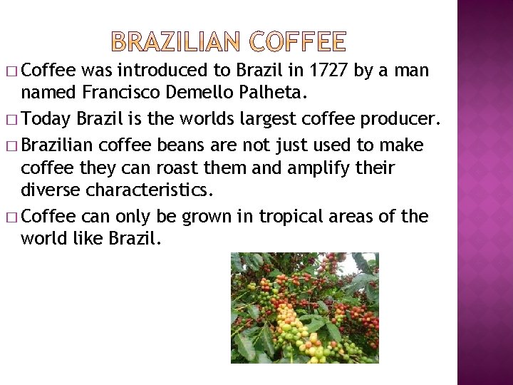 � Coffee was introduced to Brazil in 1727 by a man named Francisco Demello