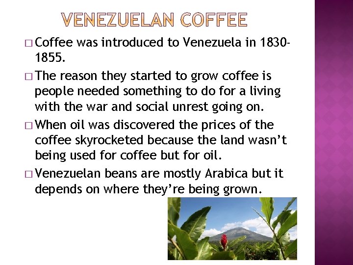 � Coffee was introduced to Venezuela in 1830 - 1855. � The reason they