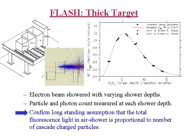 FLASH: Thick Target – Electron beam showered with varying shower depths. – Particle and
