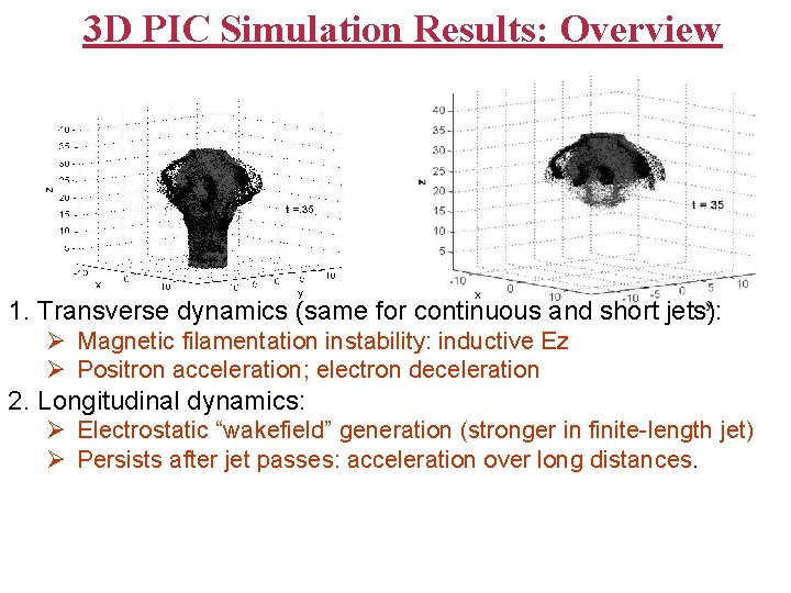 3 D PIC Simulation Results: Overview 1. Transverse dynamics (same for continuous and short