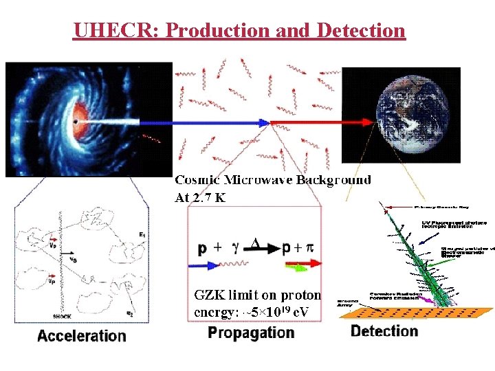 UHECR: Production and Detection 