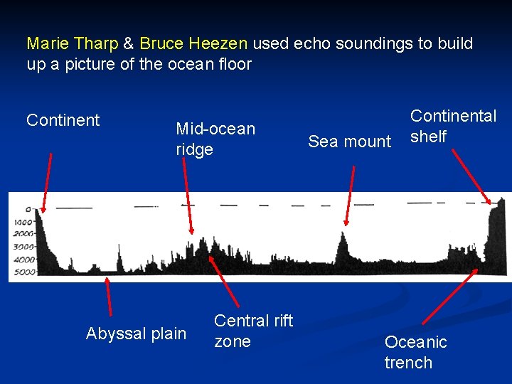 Marie Tharp & Bruce Heezen used echo soundings to build up a picture of