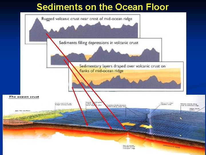 Sediments on the Ocean Floor 