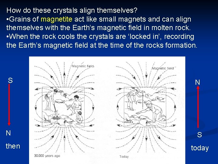 How do these crystals align themselves? • Grains of magnetite act like small magnets