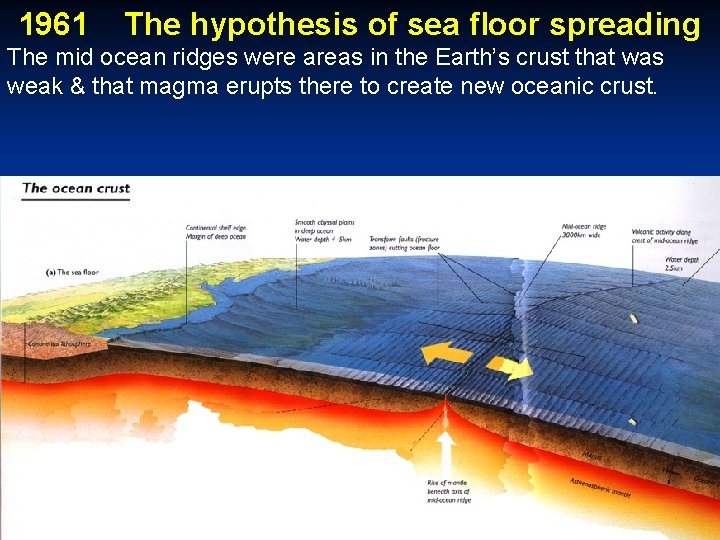 1961 The hypothesis of sea floor spreading The mid ocean ridges were areas in