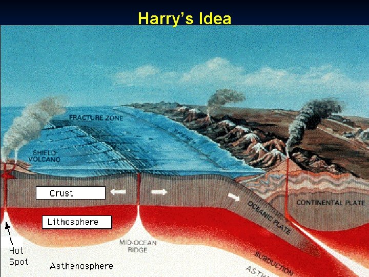 Harry’s Idea 