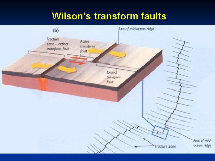 Wilson’s transform faults 