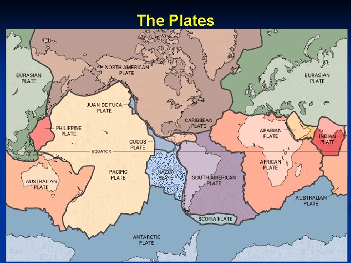 The Plates 