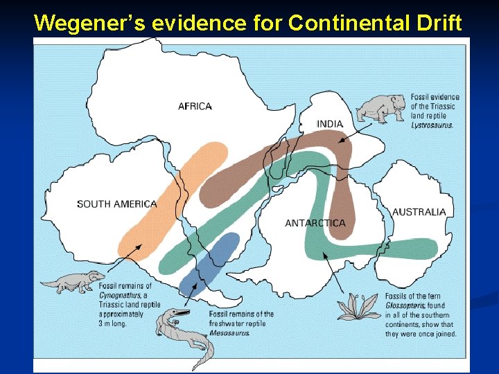 Wegener’s evidence for Continental Drift 