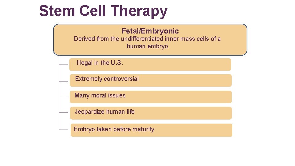 Stem Cell Therapy Fetal/Embryonic Derived from the undifferentiated inner mass cells of a human