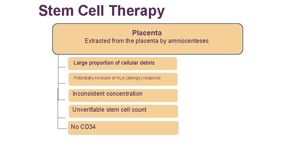 Stem Cell Therapy Placenta Extracted from the placenta by amniocenteses Large proportion of cellular