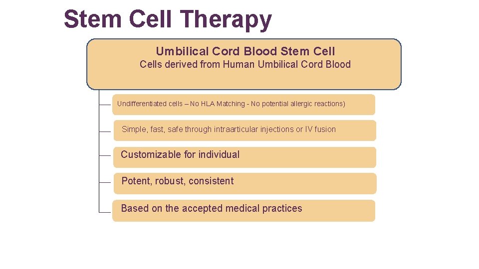 Stem Cell Therapy Umbilical Cord Blood Stem Cells derived from Human Umbilical Cord Blood