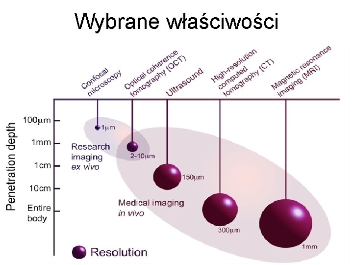 Wybrane właściwości 