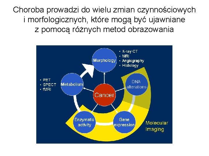 Choroba prowadzi do wielu zmian czynnościowych i morfologicznych, które mogą być ujawniane z pomocą