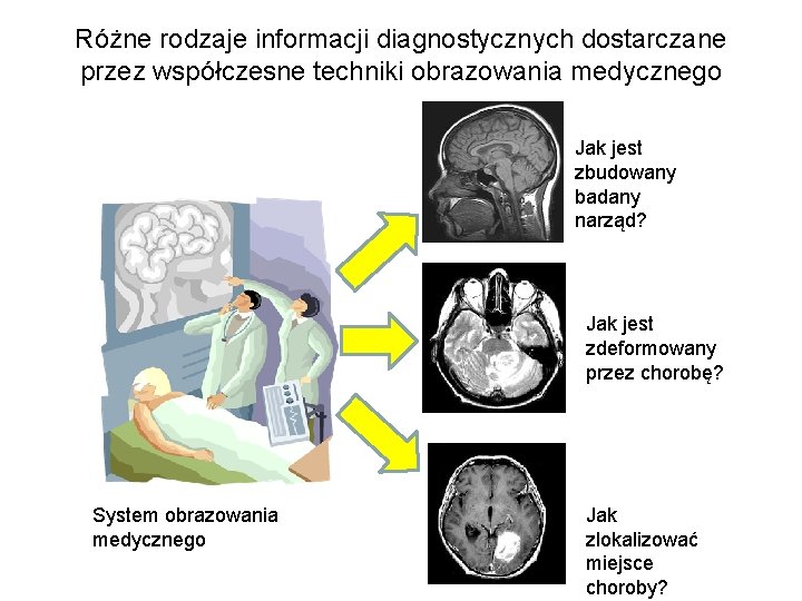 Różne rodzaje informacji diagnostycznych dostarczane przez współczesne techniki obrazowania medycznego Jak jest zbudowany badany