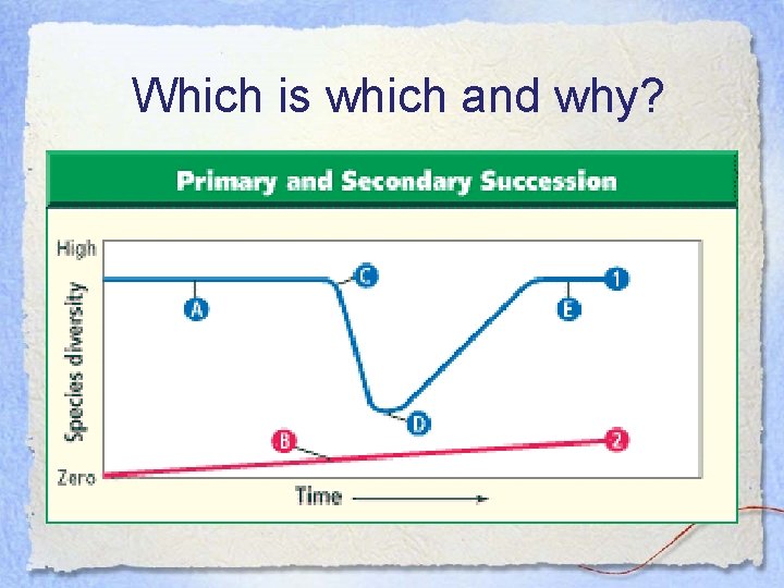 Which is which and why? 