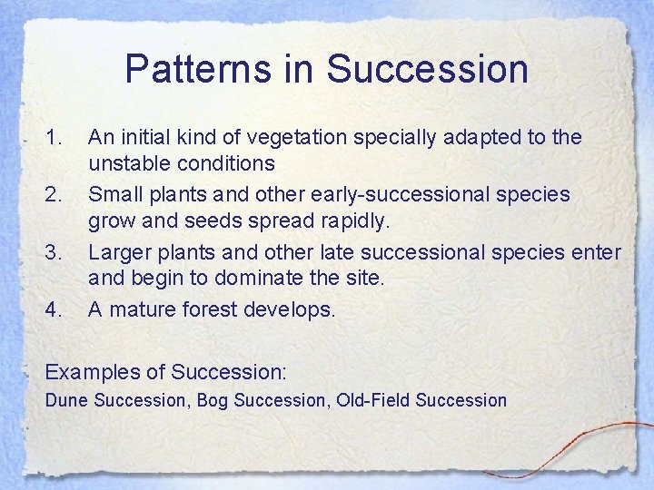 Patterns in Succession 1. 2. 3. 4. An initial kind of vegetation specially adapted