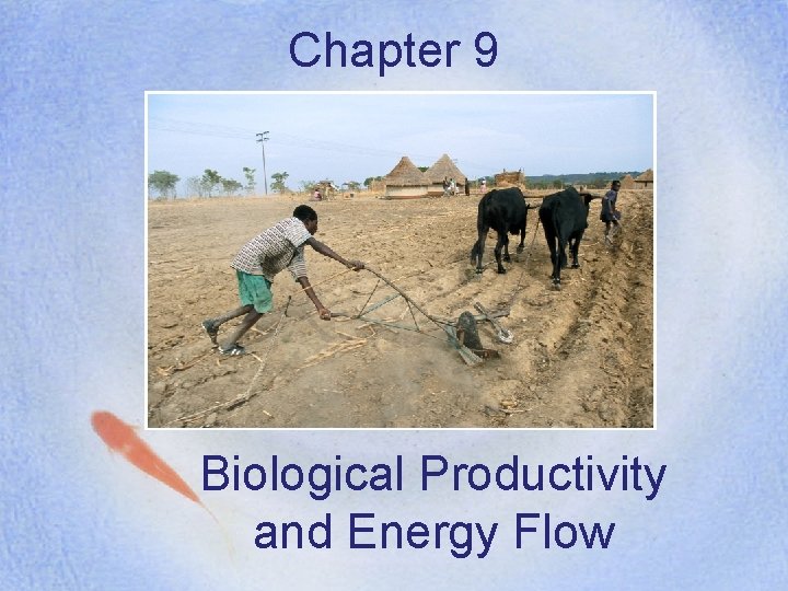 Chapter 9 Biological Productivity and Energy Flow 