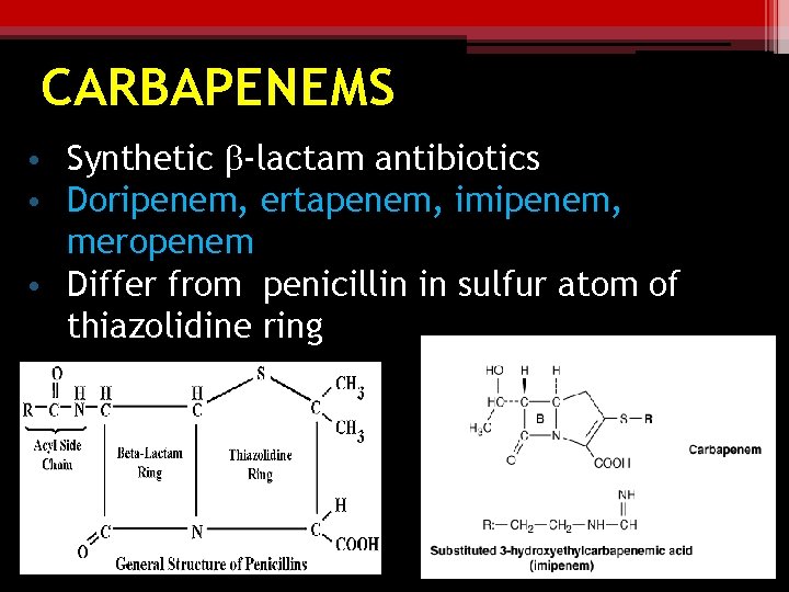 CARBAPENEMS • Synthetic b-lactam antibiotics • Doripenem, ertapenem, imipenem, meropenem • Differ from penicillin