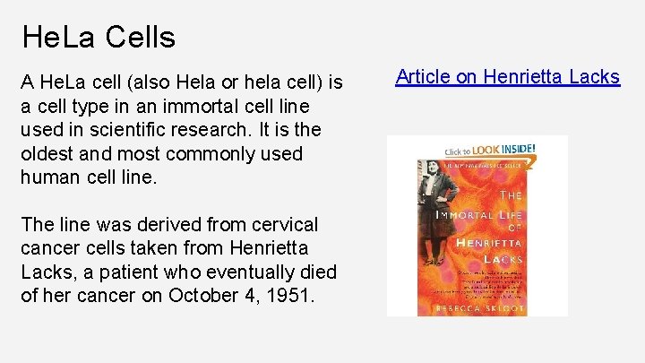 He. La Cells A He. La cell (also Hela or hela cell) is a
