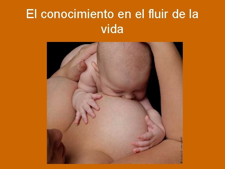 El conocimiento en el fluir de la vida 