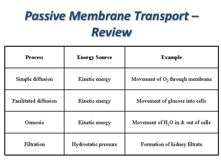 Passive Membrane Transport – Review Process Energy Source Example Simple diffusion Kinetic energy Movement