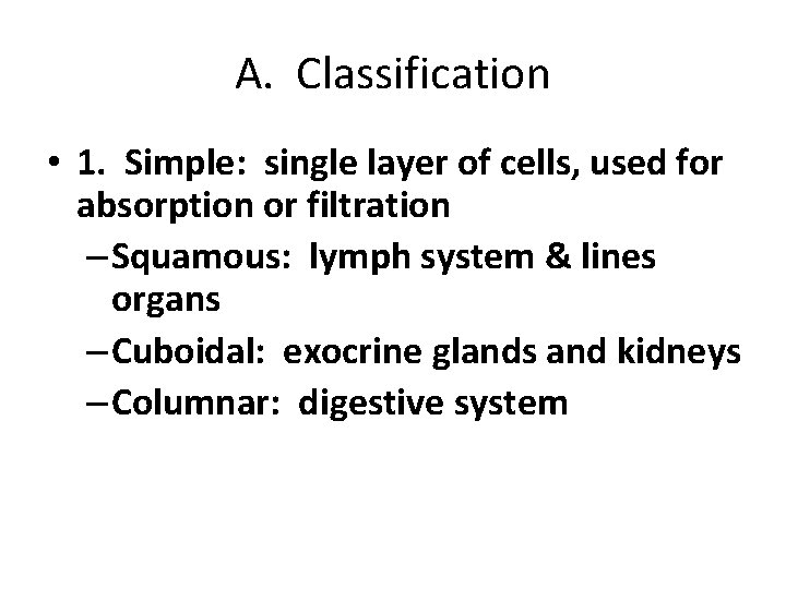 A. Classification • 1. Simple: single layer of cells, used for absorption or filtration